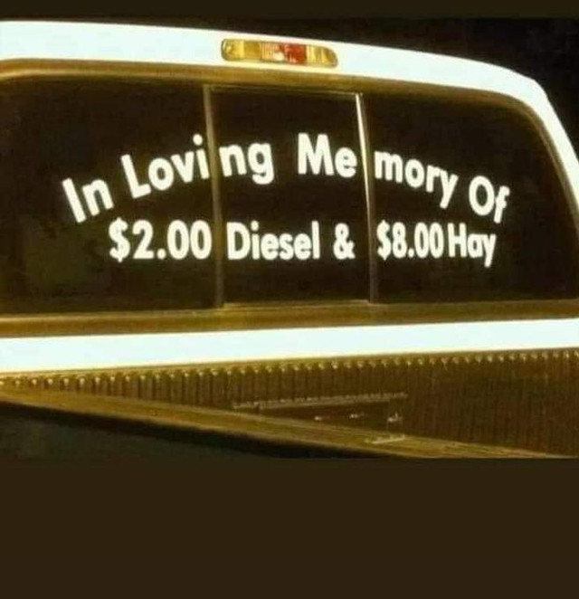 HRsjL1SaEAAt0j7.jpg