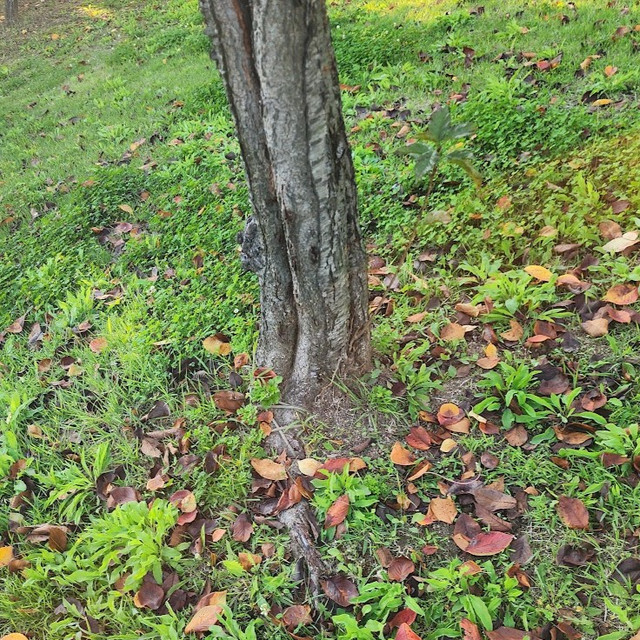 20251023_163539.jpg