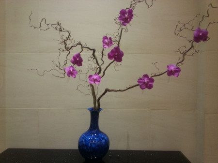 20150314_144716.jpg