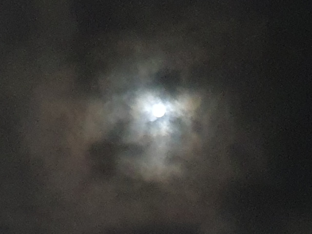20261026_225054.jpg