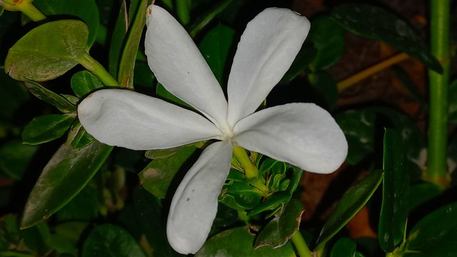 20230314_014900.jpg
