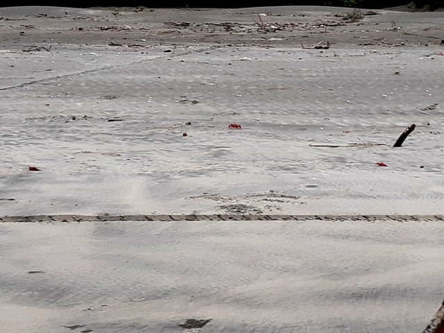 20220602_161849.jpg