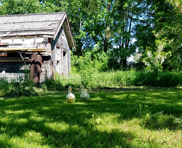 20180610_094731.jpg