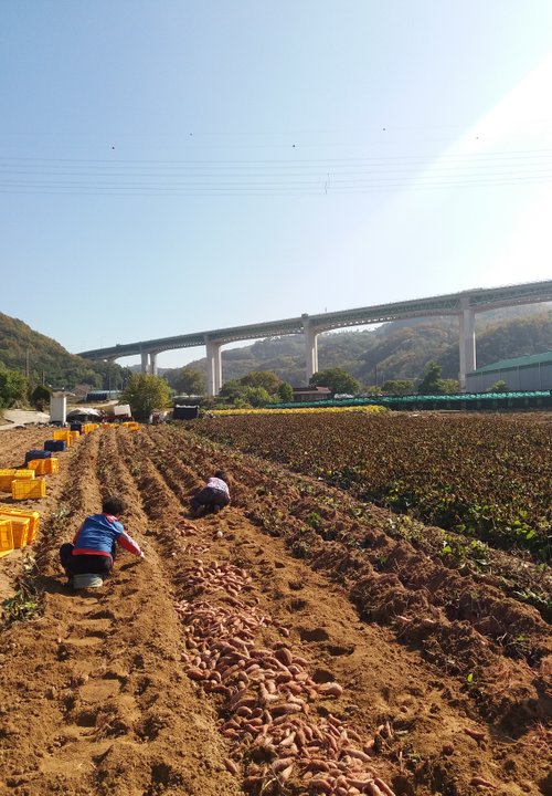 20181020_162246.jpg