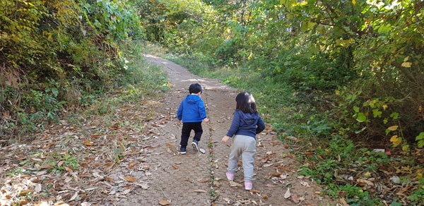 20181023_112507.jpg