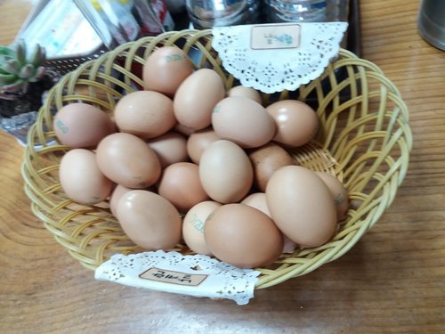 20181115_153956.jpg