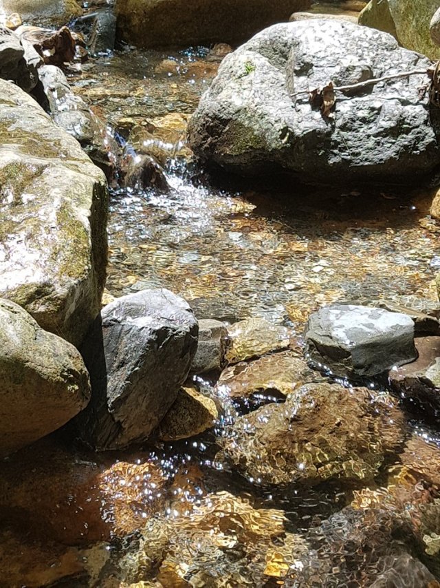20180729_123139.jpg