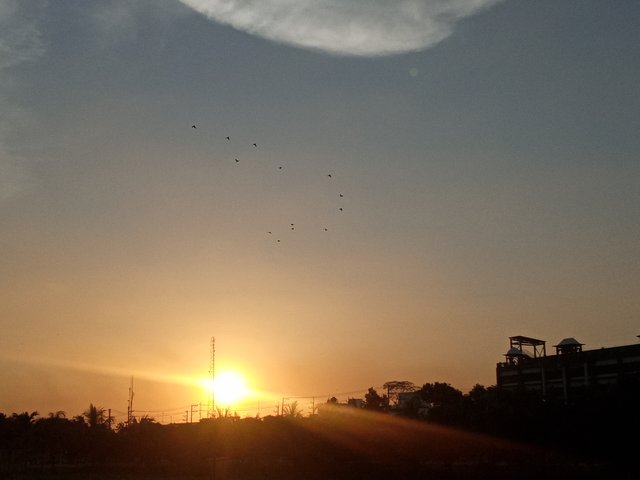 20220713_182919.jpg
