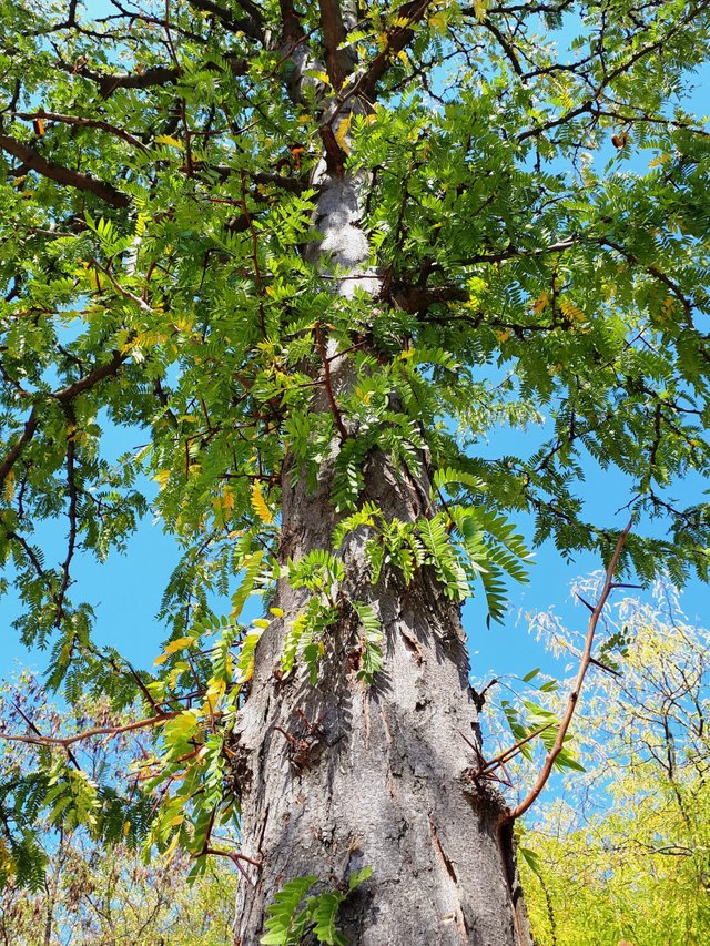 20180923_113338.jpg