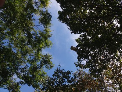 20180818_141040.jpg