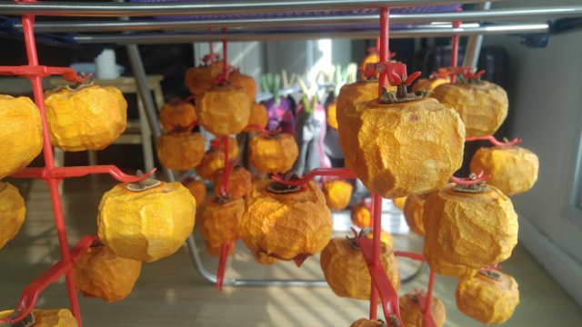 20191102_094657.jpg