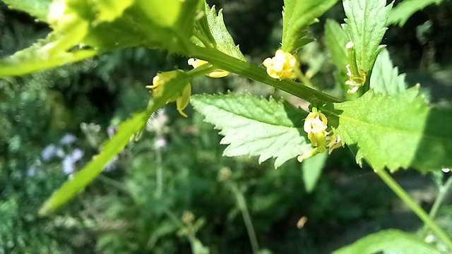 20250117_134941.jpg