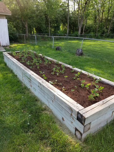 20180514_172527.jpg