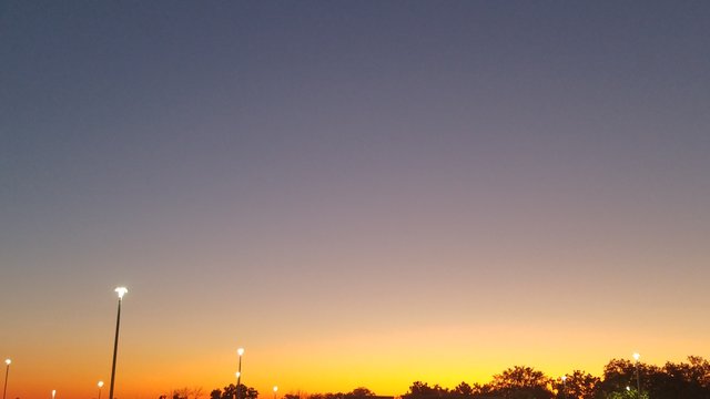 20191011_064255.jpg