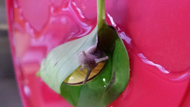 20180729_203128.jpg
