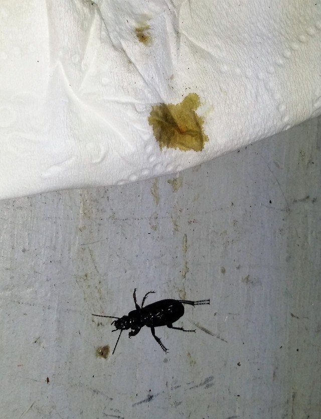 20170928_101210.jpg