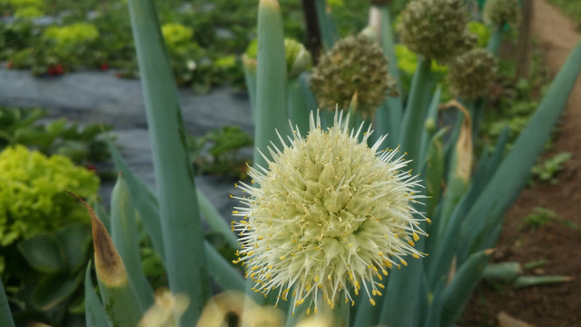 20180401_123216.jpg