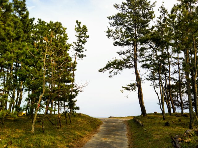20181006_140441.jpg