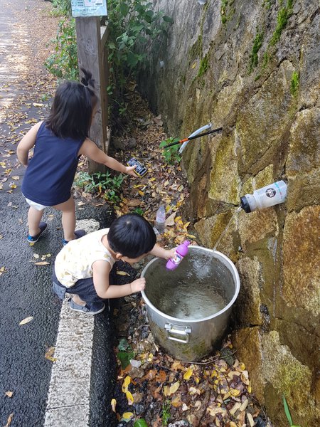 20180805_103229.jpg