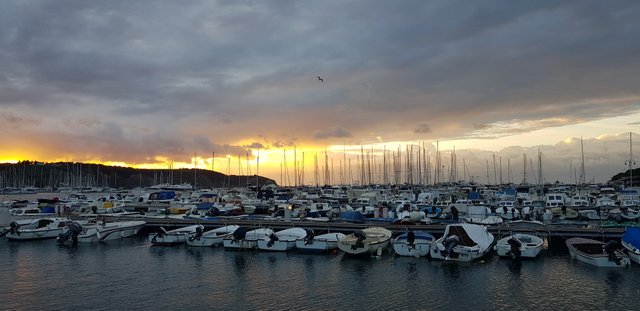 20181030_164314.jpg