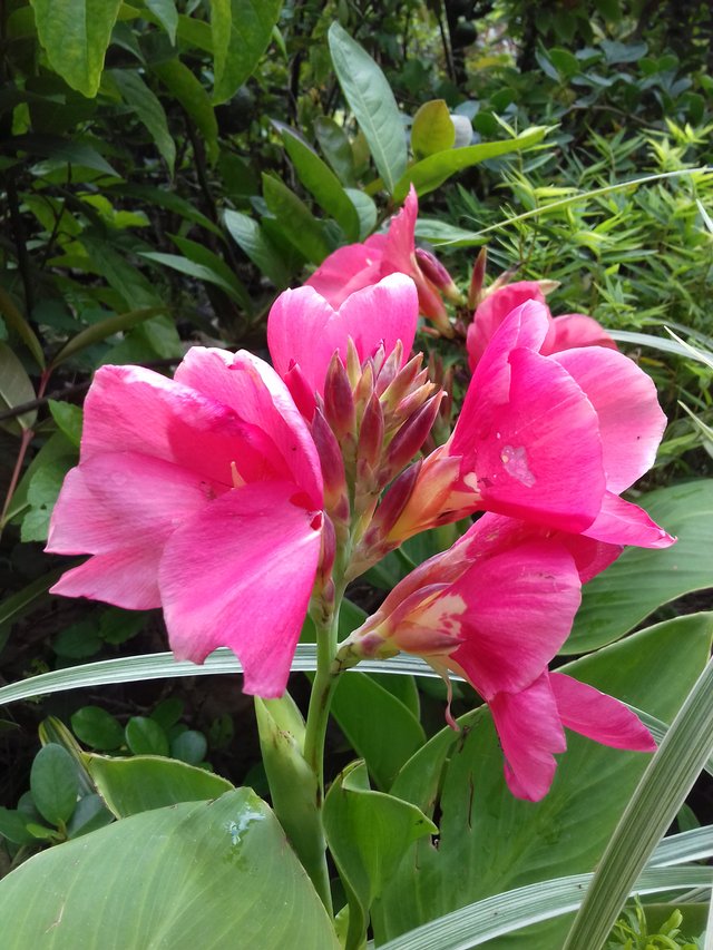 20180828_123943.jpg