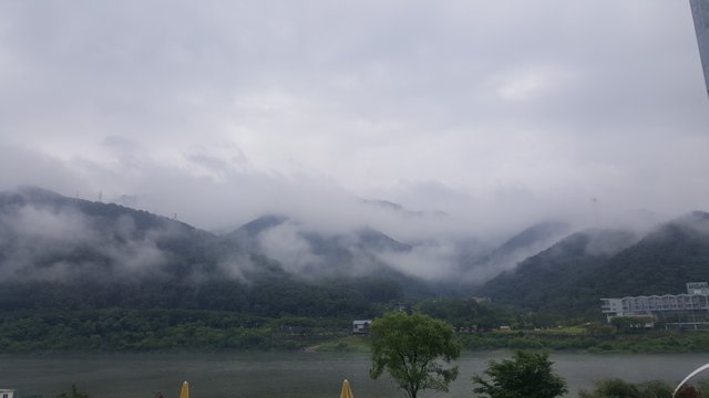 20180711_094741.jpg