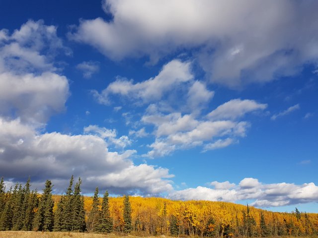 20170915_174010.jpg