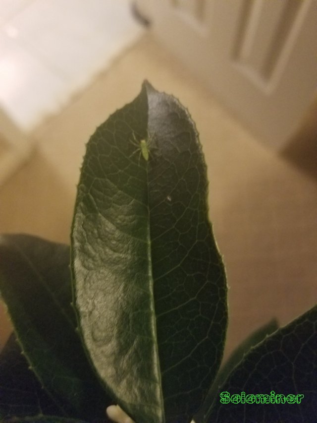 20181029_104807.jpg