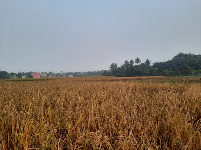 20241126_160705.jpg