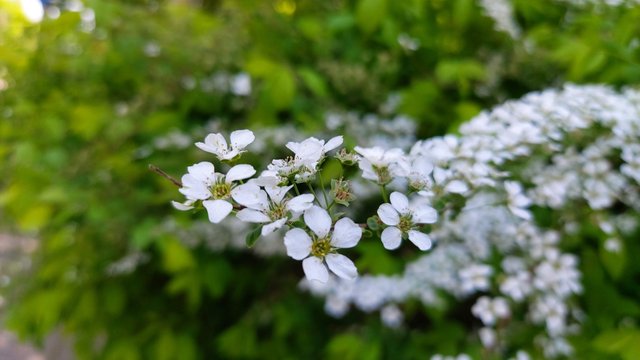 20210419_123254.jpg