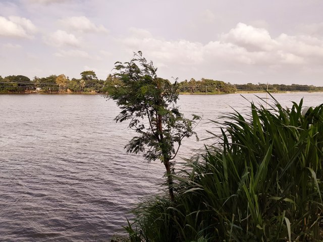 20220815_163344.jpg