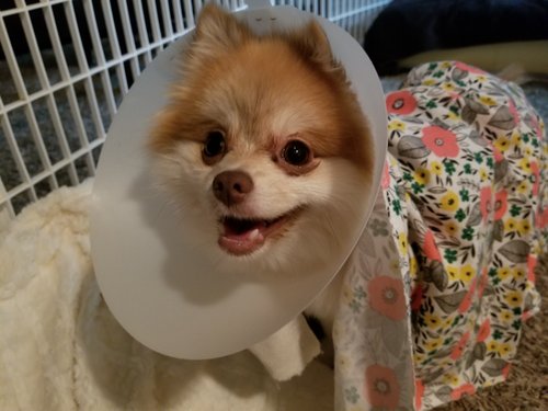 20180812_224019.jpg