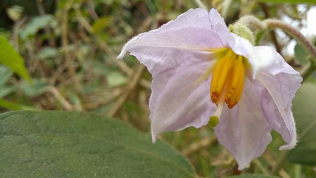 20220928_152457.jpg