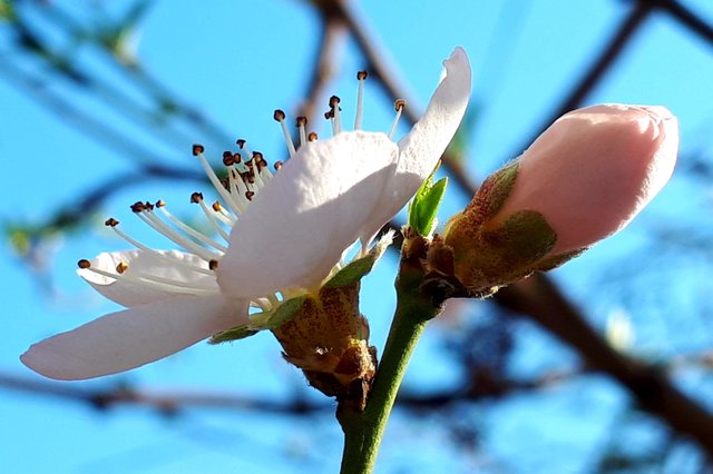 20190325_184013.jpg