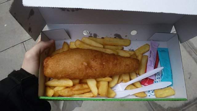 20161205_141927.jpg