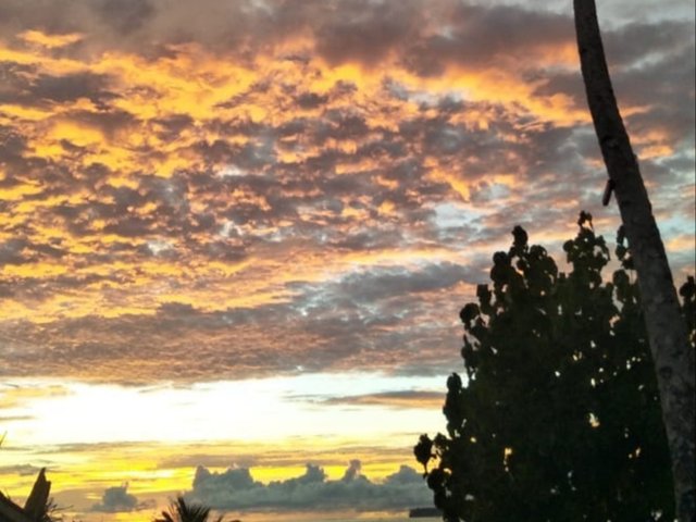 20190405_160607.jpg