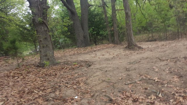 20210427_151900.jpg
