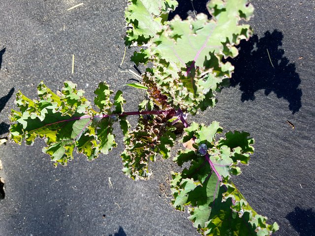20180612_094318.jpg