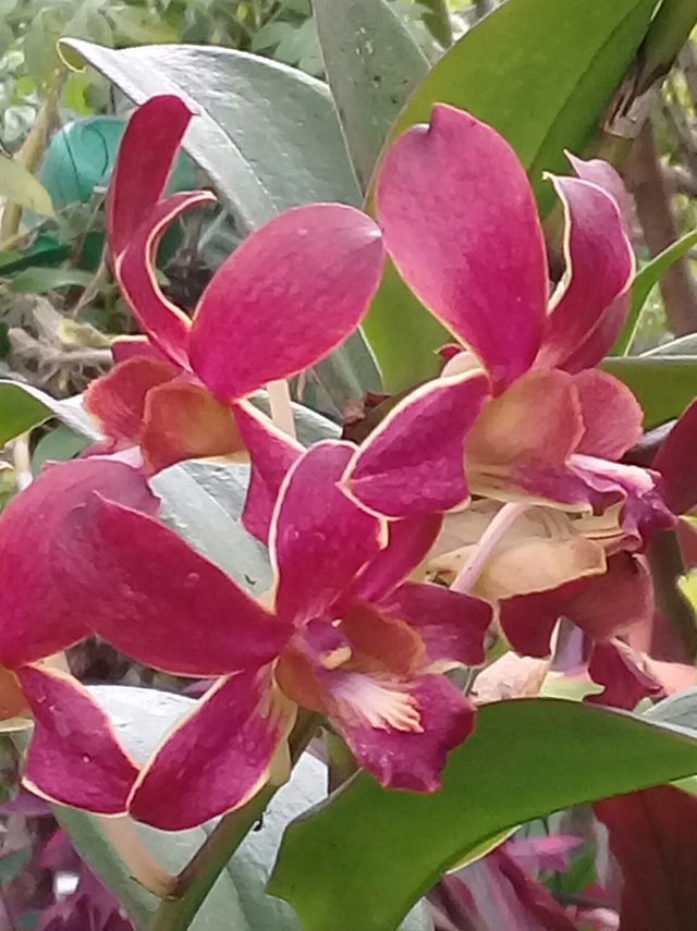 20180911_182739.jpg