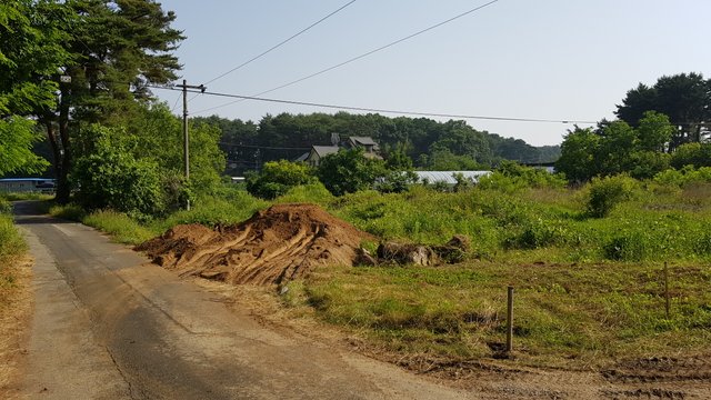 20200609_082006.jpg
