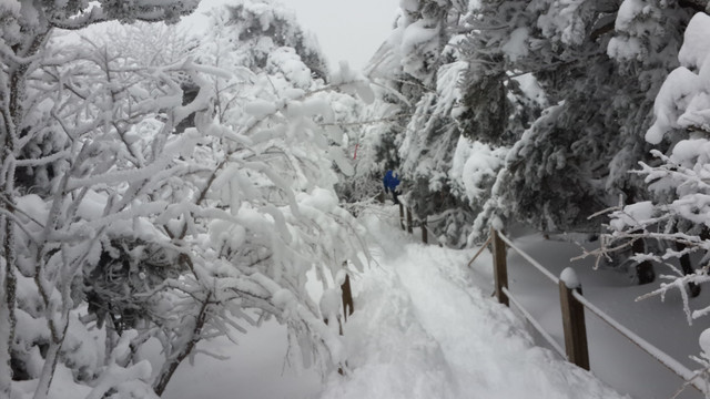 20140209_085238.jpg