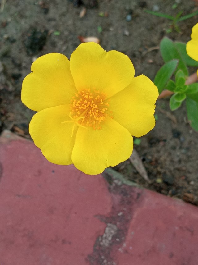 20220525_081636.jpg