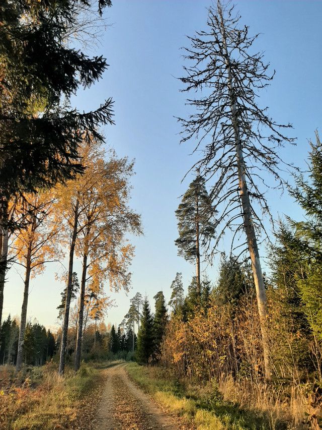 20261022_170142.jpg