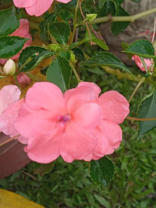 20230326_081603.jpg