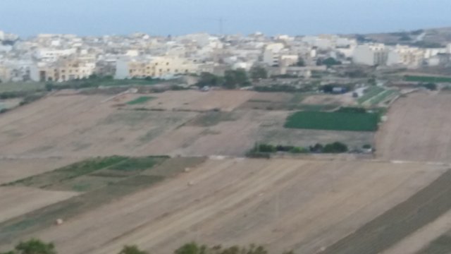 20190630_202434.jpg