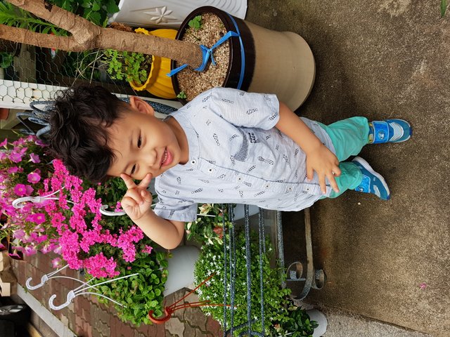 20180611_171221.jpg