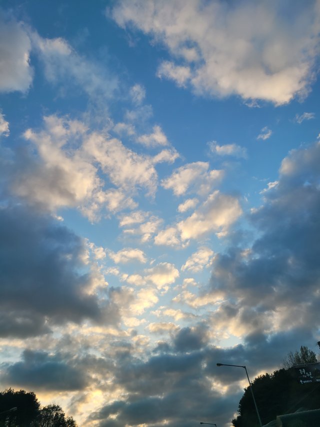 20210413_183744.jpg