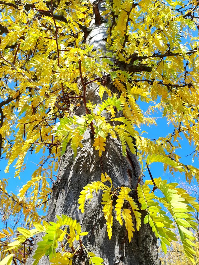 20181204_174849.jpg