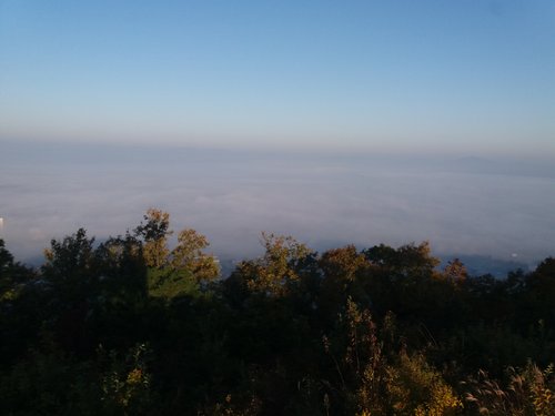 20181020_074051.jpg