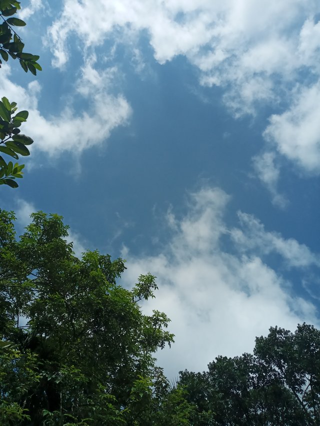20220823_140351.jpg